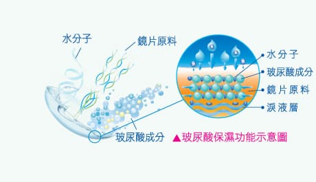 帝康日拋非球面軟性隱形眼鏡玻尿酸保濕功能示意圖