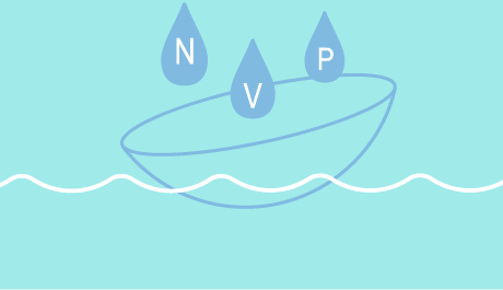 帝康日拋鏡片內添加NVP成分，親水單體幫助鏡片抓住水分子
